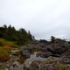Illustration for article titled Tofino and Ucluelet